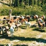 Helc Camp (Medium) Helc Camp (Medium)